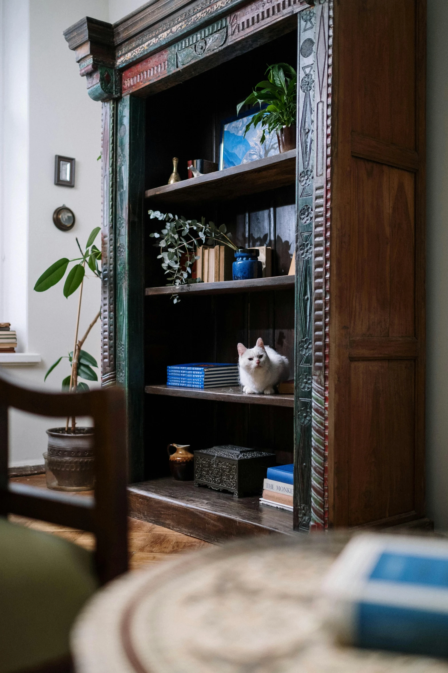 a cat sitting on top of a book shelf in a living room, lush green, wooden statue, romanian, indigo