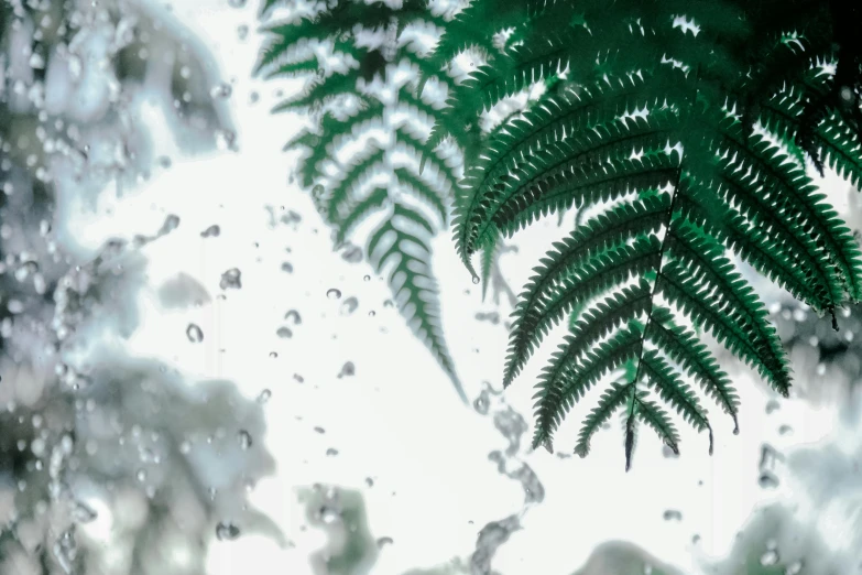 a close up of a fern leaf in the rain, an ambient occlusion render, inspired by Kinichiro Ishikawa, unsplash contest winner, cryengine render 8 k uhd, water gushing from ceiling, animation style render, ultra detailed trees