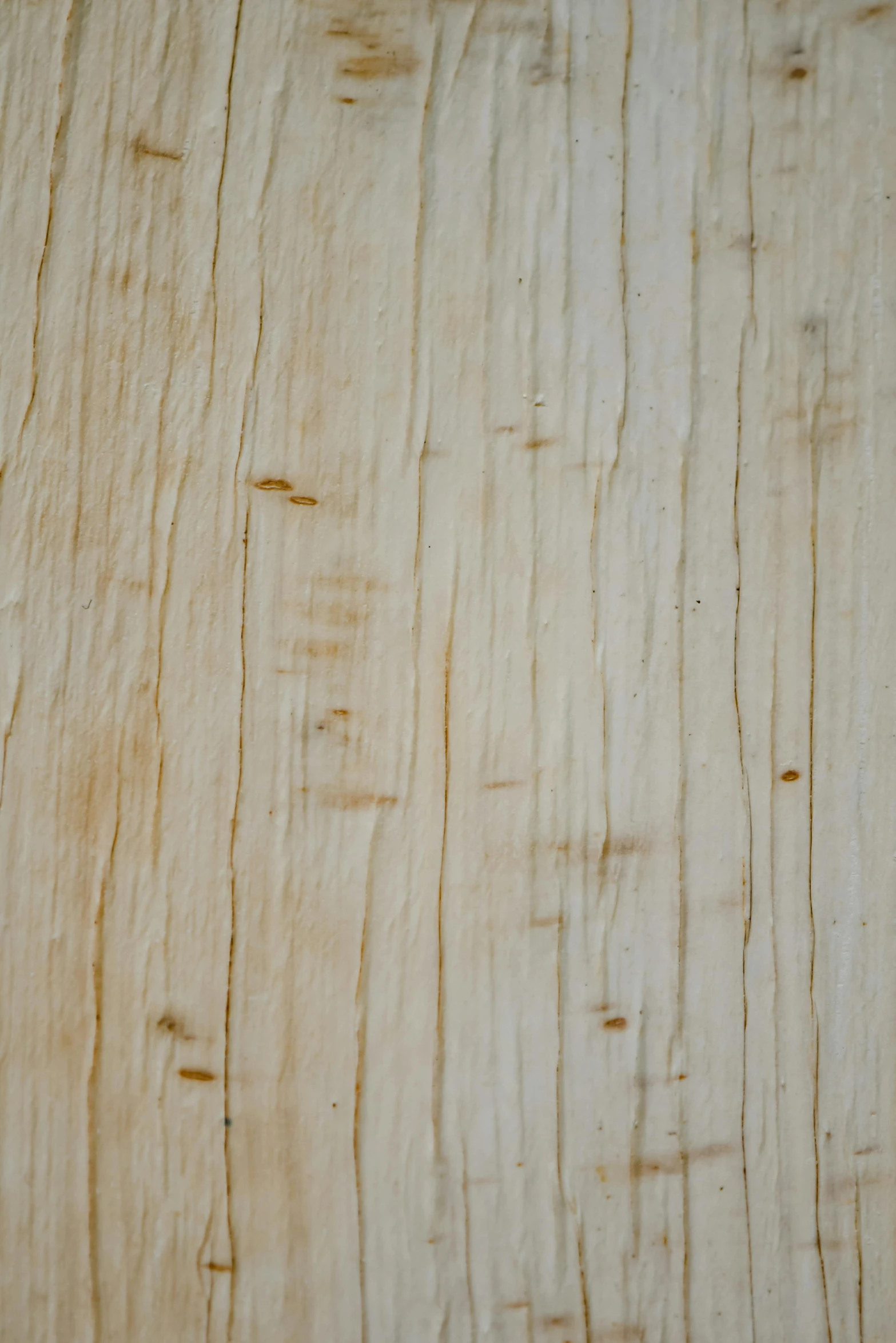 a close up of a piece of wood, inspired by James Wood, unsplash, figuration libre, translucent white skin, heavy grain-s 150, detailed product image, blonde