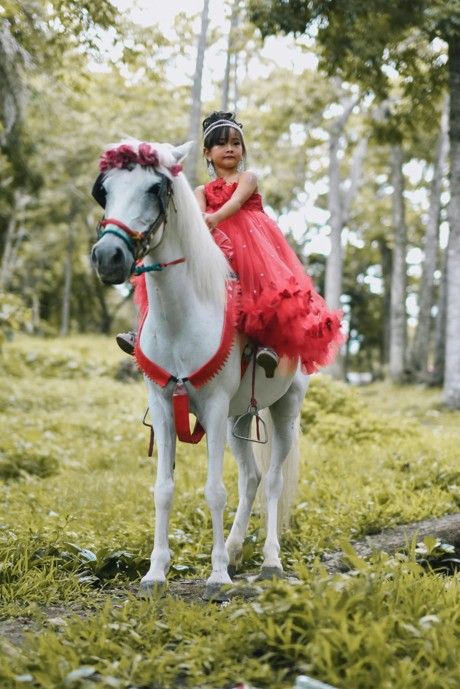 a little girl riding on the back of a white horse, by Basuki Abdullah, girl wears a red dress, slide show, grey, promo