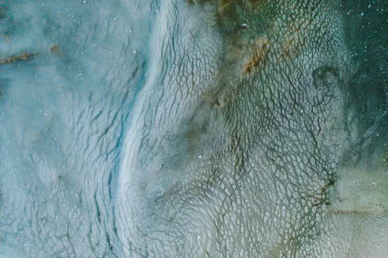 a close up of a polar bear in the water, an ultrafine detailed painting, trending on unsplash, generative art, blue-green fish skin, mars aerial photography, fractal veins, human skin texture