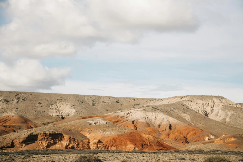 a herd of cattle grazing on top of a dry grass covered field, unsplash contest winner, les nabis, landscape with red mountains, geological strata, ancient ochre palette, white lava