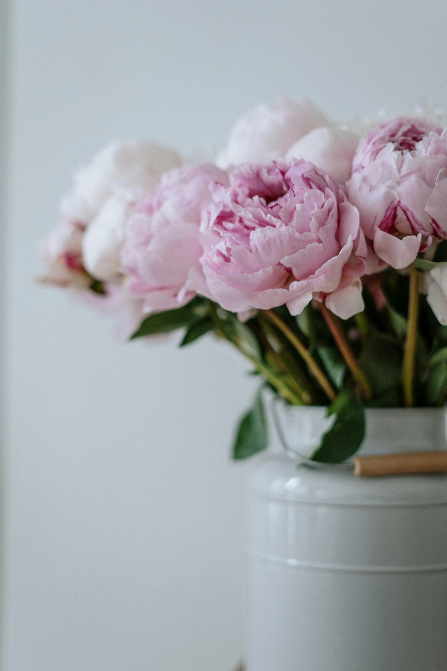 a white vase filled with pink flowers on top of a table, unsplash, romanticism, peony, grey, seasonal, large tall