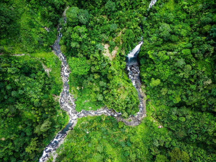 a river running through a lush green forest, by Daniel Lieske, hurufiyya, helicopter view, small waterfall, ai biodiversity, istock