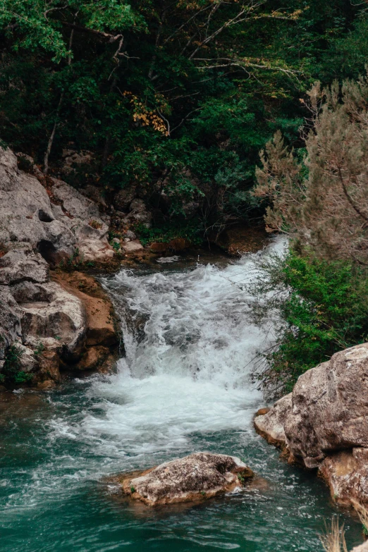 a river running through a lush green forest, a picture, unsplash contest winner, les nabis, 2 5 6 x 2 5 6 pixels, mediterranean, white water rapids, low quality photo