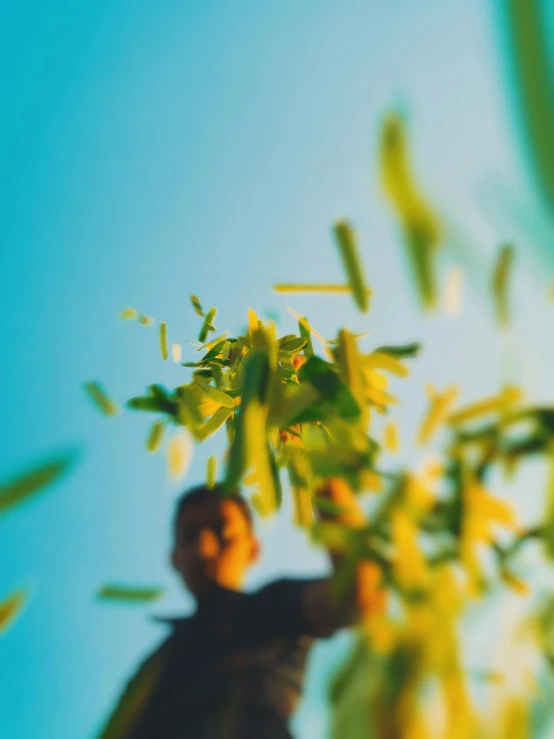 a man that is standing under a tree, a picture, unsplash, conceptual art, toy photography, basil leaves flying all over, bokeh dof sky, avatar image