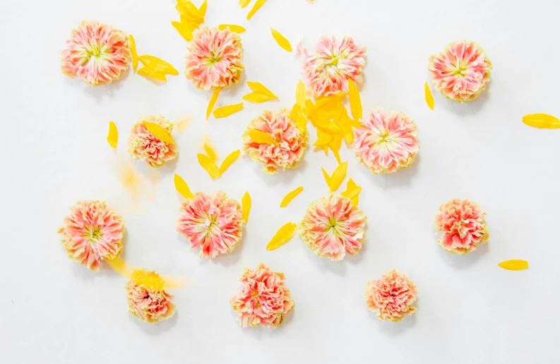 a bunch of pink and yellow flowers on a white surface, inspired by Cy Twombly, trending on unsplash, spores floating in the air, snacks, patterned, carnation