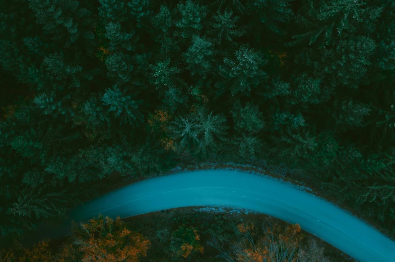 an aerial view of a road in the middle of a forest, by Emma Andijewska, glowing hue of teal, thumbnail, anton fadeev 8 k, high quality image”