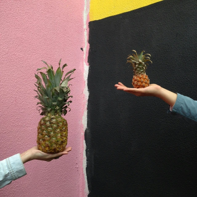 a person holding a pineapple in front of a wall, by Nathalie Rattner, pexels contest winner, adult pair of twins, spraypainted on a wall, size difference, reaching out to each other