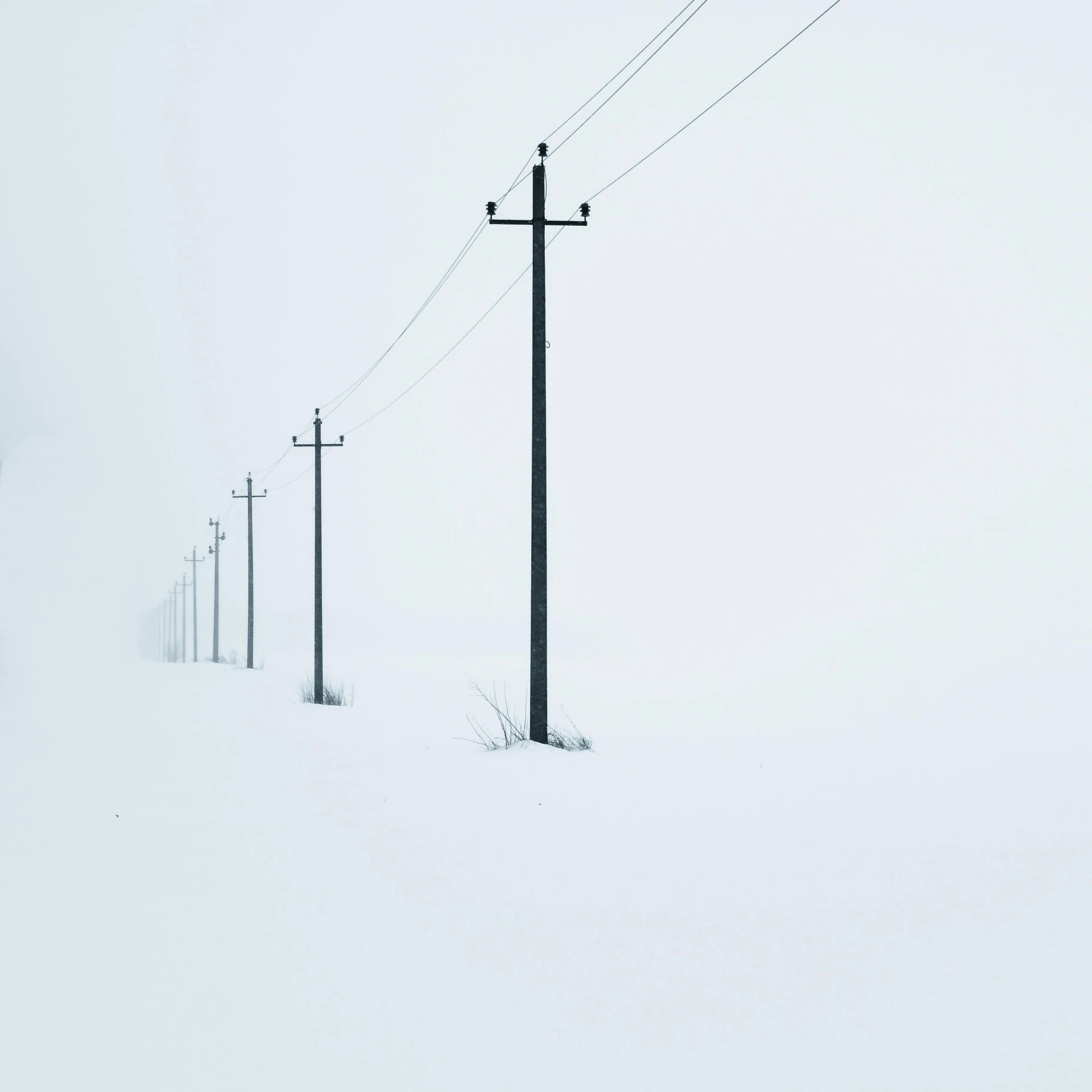 a man riding skis down a snow covered slope, an album cover, by Leo Leuppi, pexels contest winner, postminimalism, telephone wires, snowstorm ::5, electrical cables, lined up horizontally