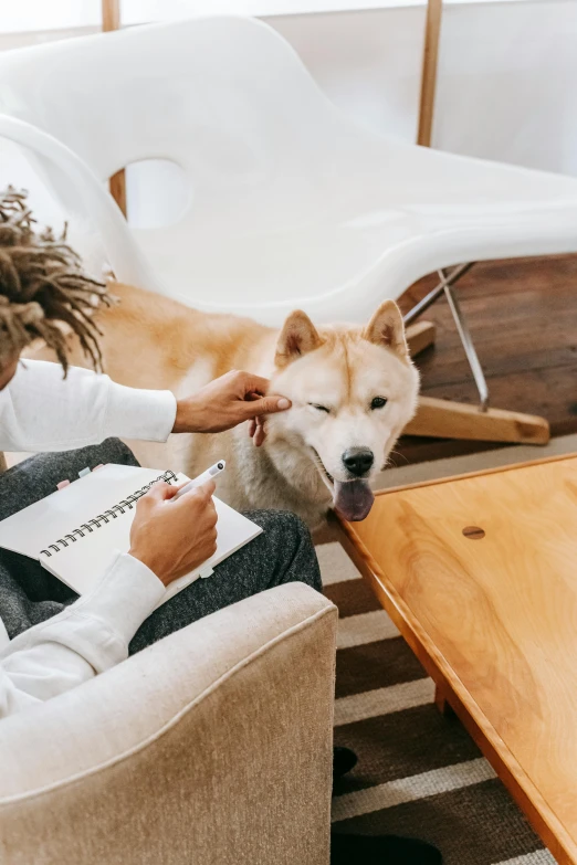 a woman sitting on a couch petting a dog, trending on pexels, writing on a clipboard, acupuncture treatment, asian man, on a wooden desk