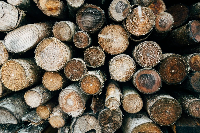 a pile of wood stacked on top of each other, unsplash, renaissance, 🦩🪐🐞👩🏻🦳, profile image, cottagecore, 90s photo