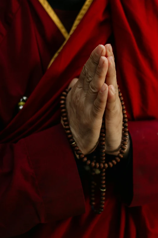 a close up of a person wearing a red robe, prayer hands, square, photographed for reuters, lama