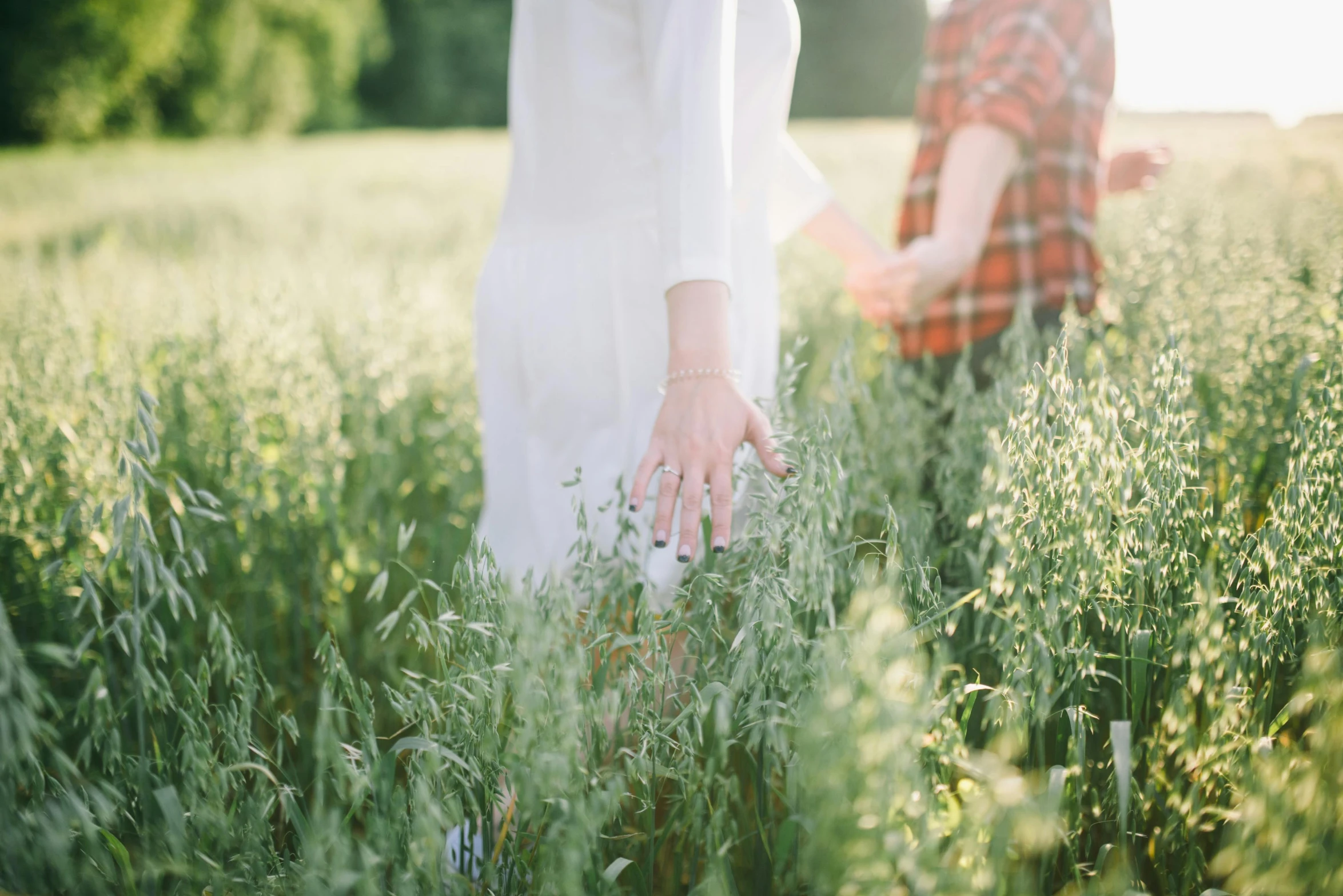 two people standing in a field of tall grass, pexels contest winner, white clothes, picking up a flower, picnic, sleek hands