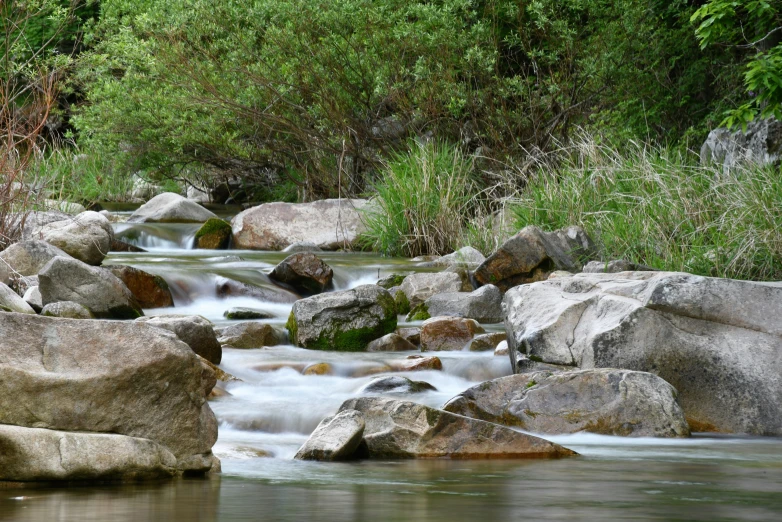 a stream running through a lush green forest, a picture, unsplash, hurufiyya, new mexico, slide show, rocks falling, watch photo