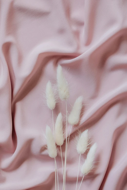 a bunch of white flowers sitting on top of a pink cloth, by Tan Ting-pho, trending on pexels, romanticism, made of fabric, soft feather, pink grass, folds of fabric