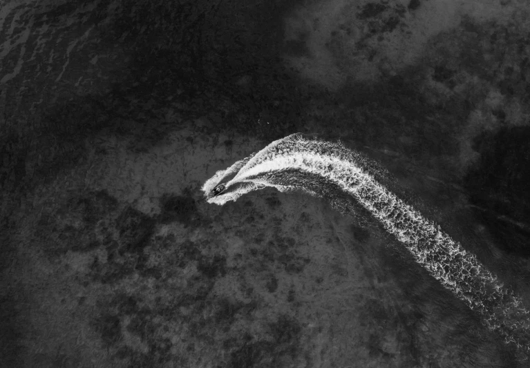 a black and white photo of a body of water, by Thomas Fogarty, pexels, action painting, arial shot, glimmering whale, corn, running