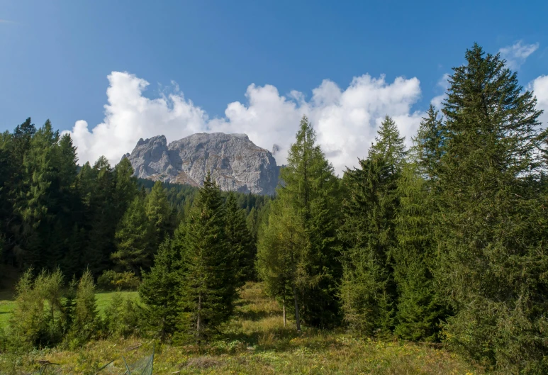 a mountain in the distance with trees in the foreground, a picture, by Carlo Maderna, les nabis, high quality image, no cropping, digital image, fan favorite