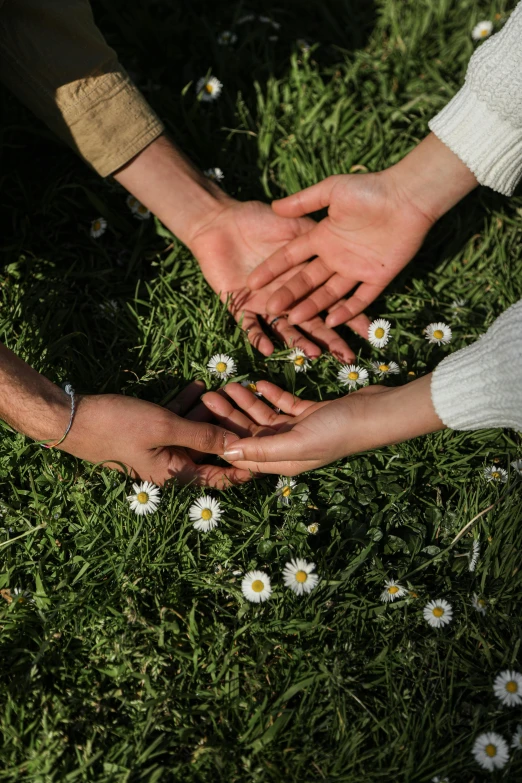 a group of people putting their hands together in a circle, trending on pexels, renaissance, grass and flowers, 15081959 21121991 01012000 4k, chamomile, hyperrealistic