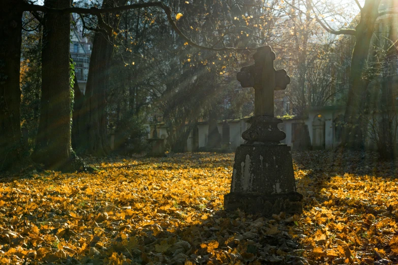 a cemetery with the sun shining through the trees, pexels contest winner, the autumn plague gardener, shadow of the cross, lying scattered across an empty, orthodox