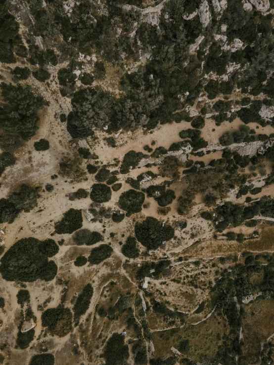 a plane flying over a forest filled with trees, by Adam Marczyński, unsplash contest winner, land art, desert camouflage, rocky roads, texture detail, holes