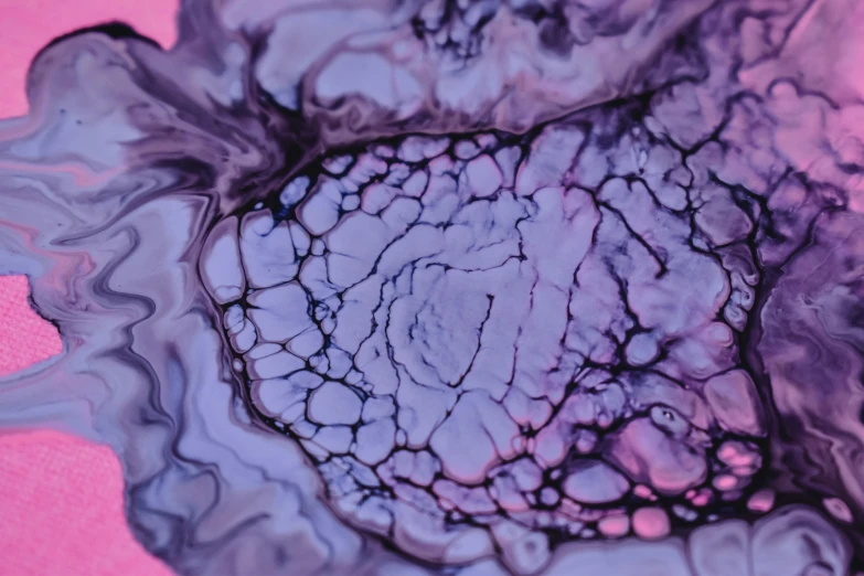 a close up of a purple substance on a pink surface, a microscopic photo, inspired by Shōzō Shimamoto, unsplash, generative art, made of ferrofluid, giant tardigrade, still from a music video, beautiful bone structure