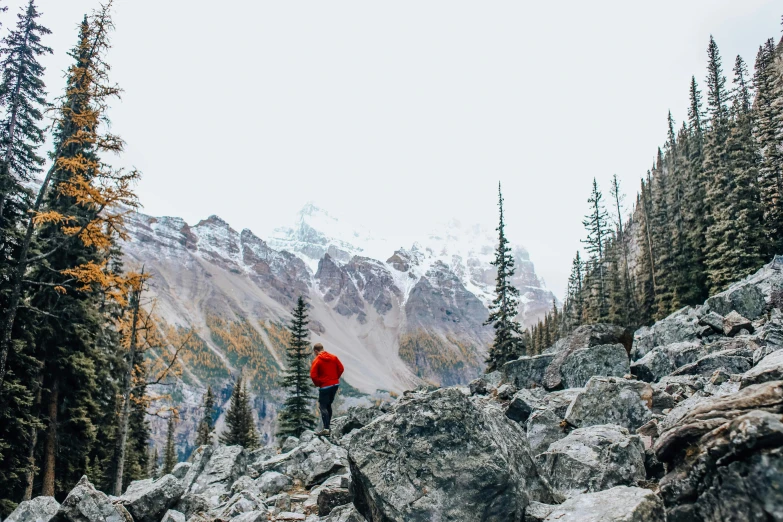 a person standing on top of a rocky mountain, by Jessie Algie, pexels contest winner, red sweater and gray pants, spruce trees, graeme base, geology