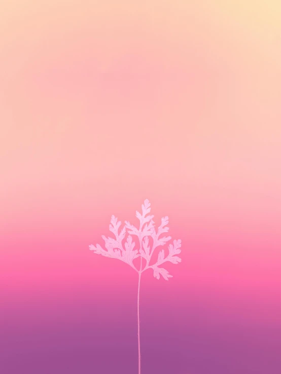 a small tree in the middle of a field, a minimalist painting, inspired by Louis Eilshemius, unsplash, postminimalism, petal pink gradient scheme, phone wallpaper. intricate, seasons!! : 🌸 ☀ 🍂 ❄, colorful coral