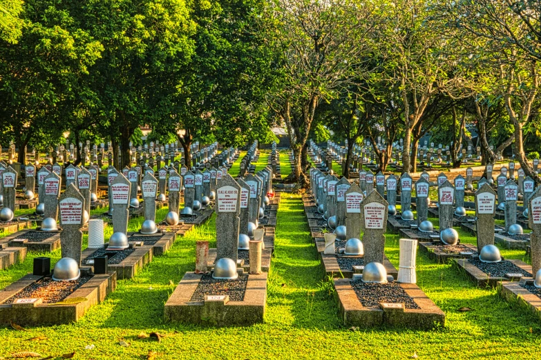 a cemetery filled with lots of tombstones and trees, by Daniel Lieske, pexels contest winner, sri lanka, panoramic shot, gardening, in sci - fi mumbai