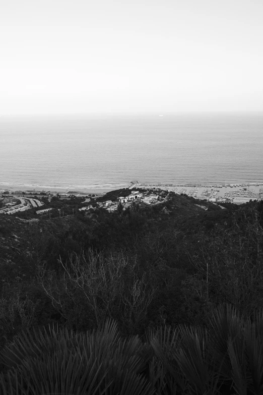 a black and white photo of the ocean, mulholland drive, snow dunes, desolate :: long shot, overlooking the ocean