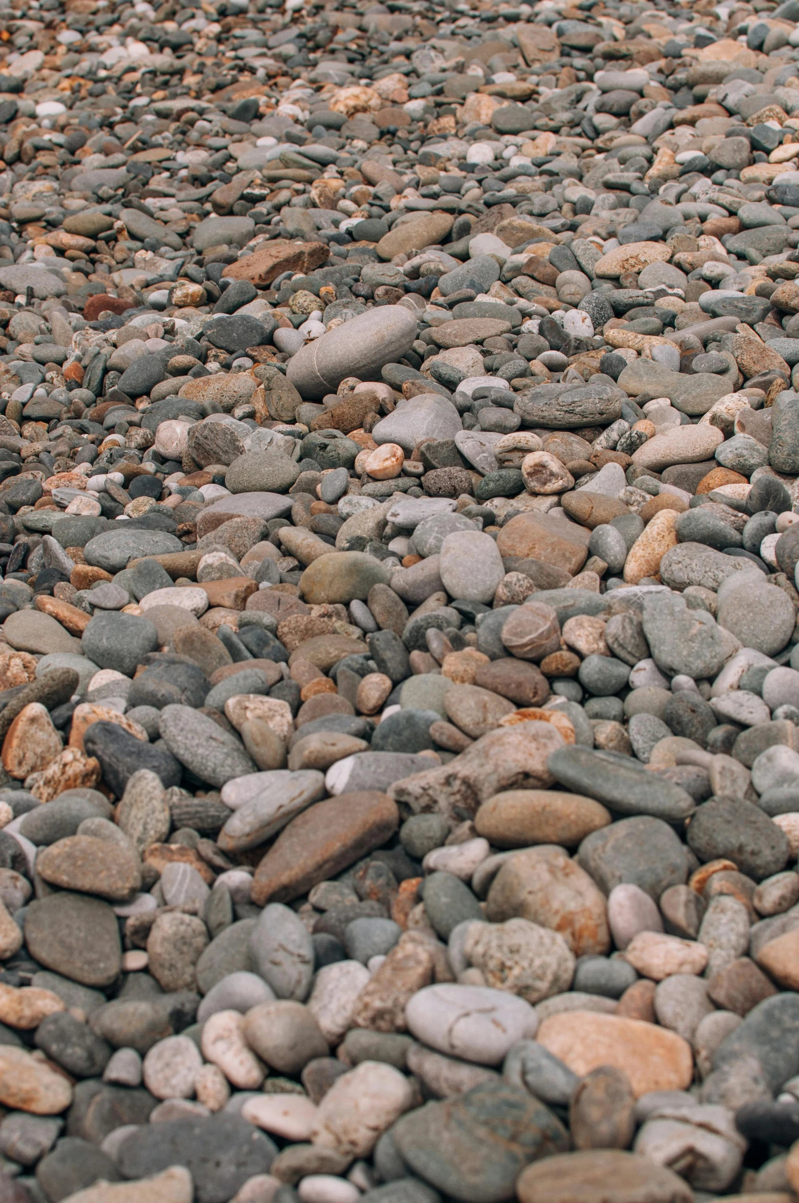 a red fire hydrant sitting on top of a pile of rocks, an album cover, inspired by Thomas Struth, pebbles, camo, grey, medium-shot