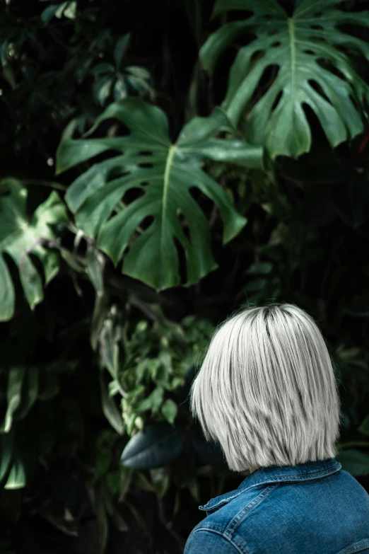 a woman standing in front of a lush green forest, inspired by Elsa Bleda, trending on unsplash, monstera deliciosa, silver white hair, man sitting facing away, profile image