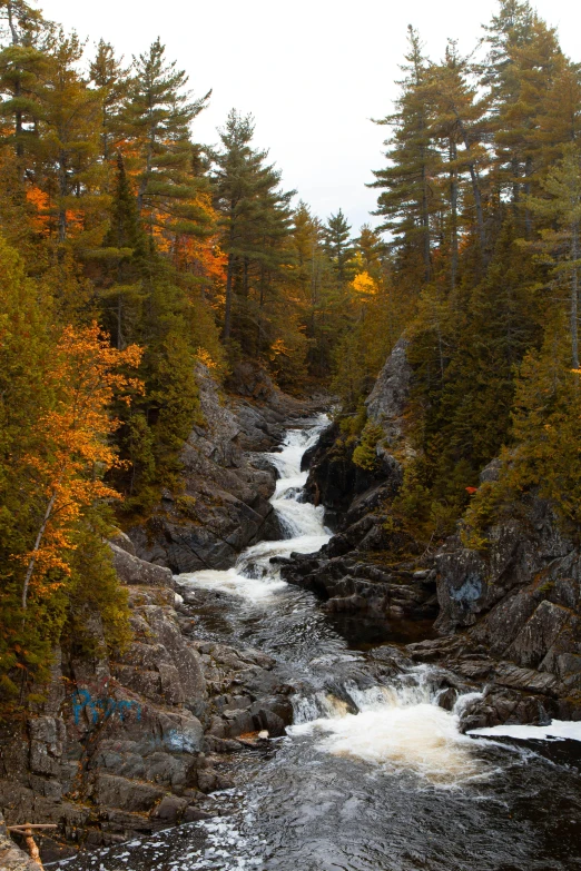 a river running through a forest filled with trees, quebec, magma cascades, slide show, explore