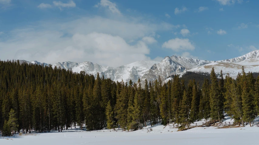 a man riding skis down a snow covered slope, by Kristin Nelson, pexels contest winner, distant rocky mountains, sparse pine trees, seen from a distance, “ golden chalice