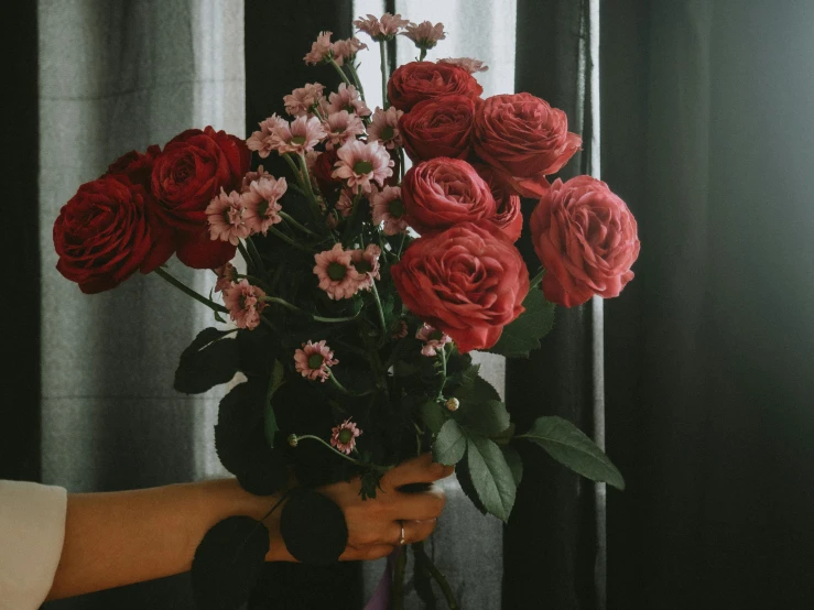 a person holding a bouquet of red and pink flowers, dark hues, with backdrop of natural light, red roses at the top, high light on the left