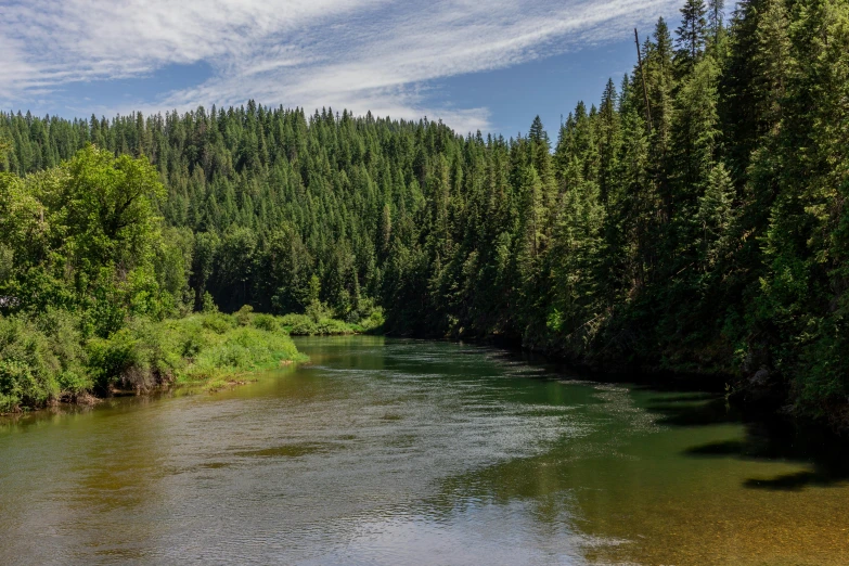 a river running through a forest filled with trees, by Jessie Algie, pexels contest winner, black fir, red river, summer day, 2 5 6 x 2 5 6 pixels