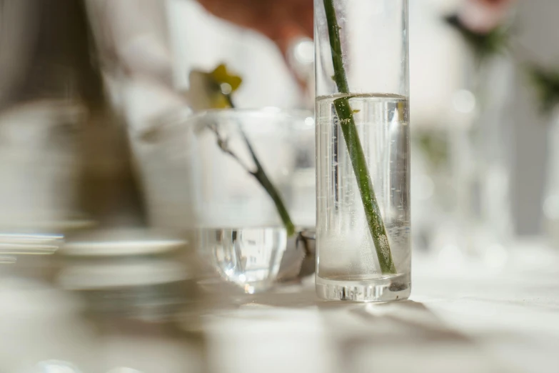 a close up of a vase with a flower in it, unsplash, silver small small small glasses, chef table, at the waterside, botanical herbarium