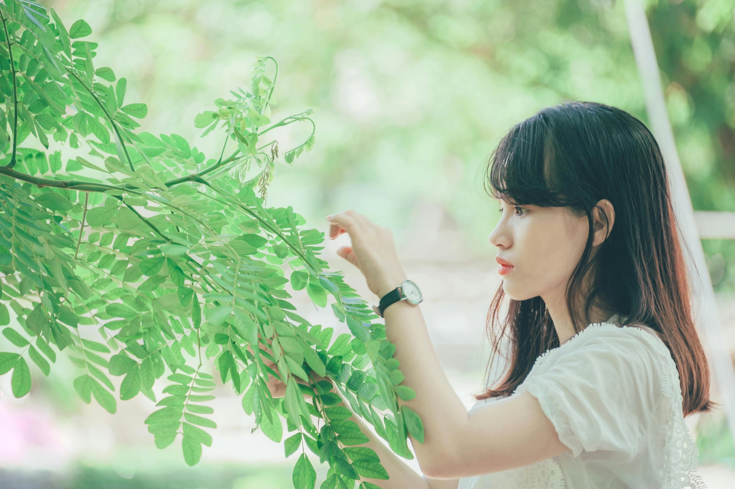 a woman holding a branch of a tree, a picture, by Tan Ting-pho, visual art, 8k 50mm iso 10, green plant, ulzzang, profile picture 1024px