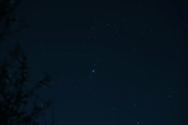 a sky filled with lots of stars next to a tree, a picture, pexels, sirius a and sirius b, distant - mid - shot, blue, low quality footage