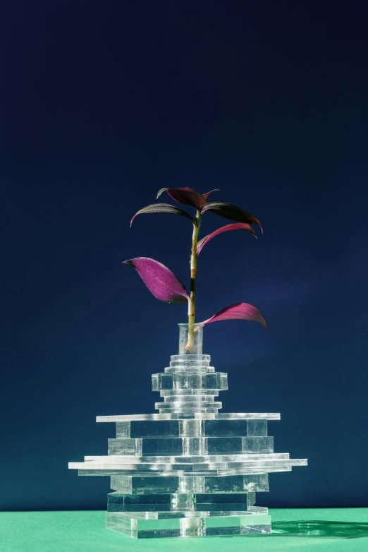 a glass vase with a plant growing out of it, a surrealist sculpture, inspired by Matthias Jung, unsplash, environmental art, ultraviolet photography, pagoda, ignant, magnolia