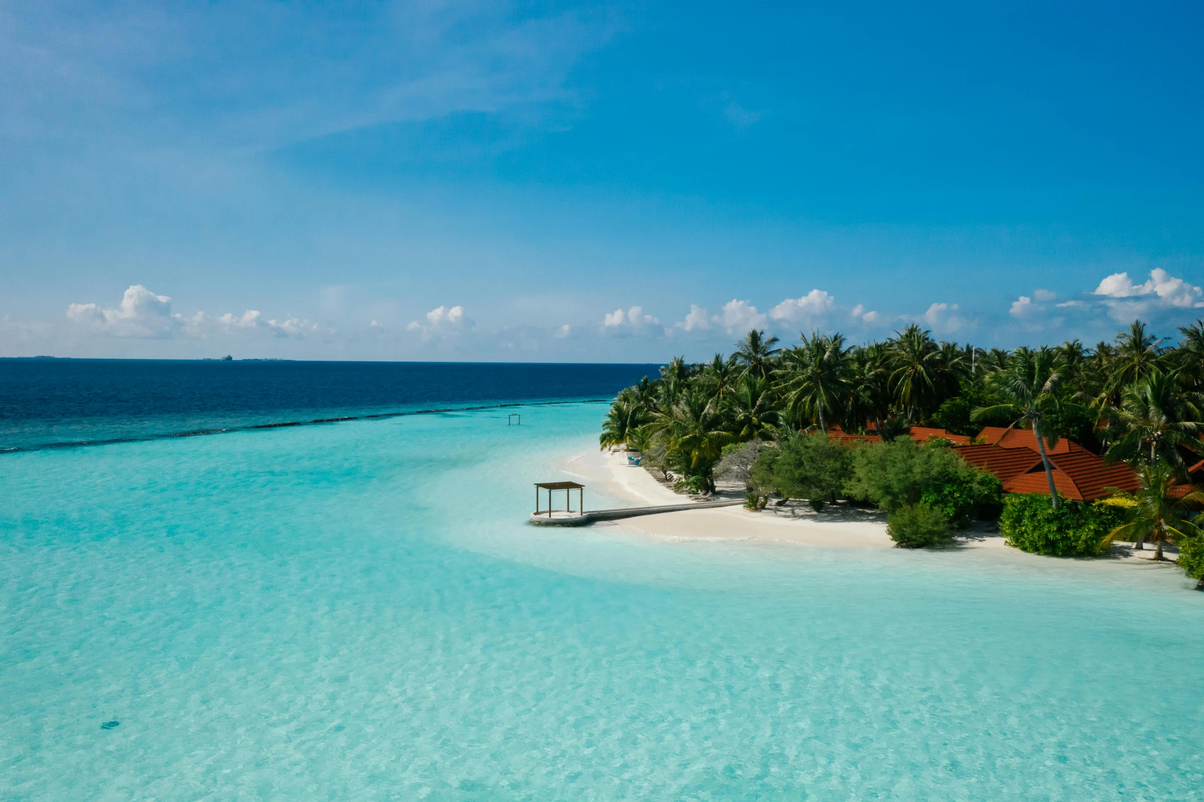 an island in the middle of the ocean, pexels contest winner, hurufiyya, maldives in background, light blue water, woodlands, white sand