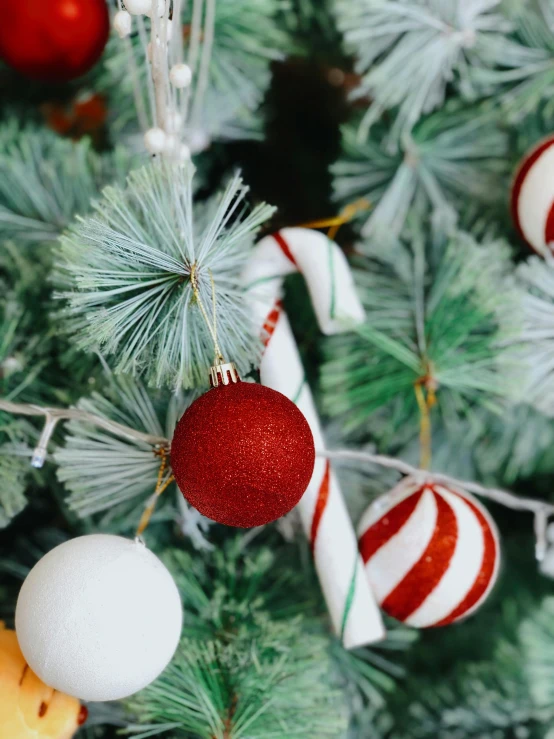 a close up of a christmas tree with ornaments, candy canes, thumbnail, red and white, full res