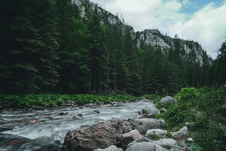 a river running through a lush green forest, pexels contest winner, mountain forest in background, rocks, grey, chilling 4 k