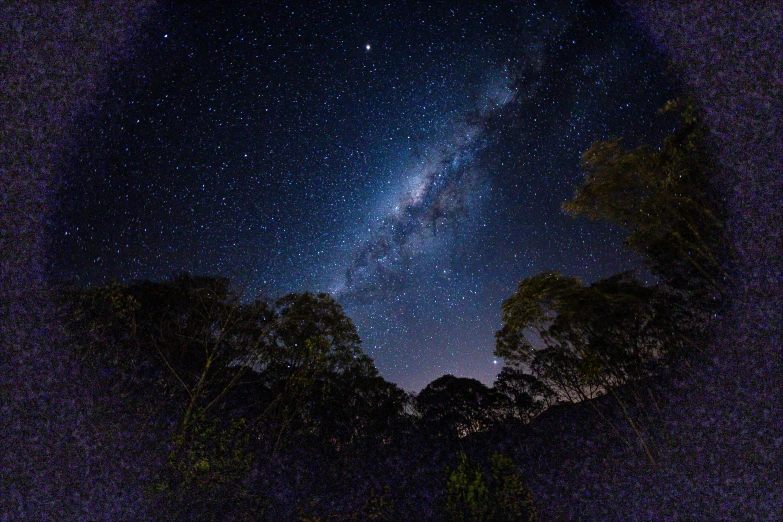 a night sky filled with stars and trees, pexels contest winner, australian tonalism, intricate galaxy inlay, instagram picture, contain, super wide