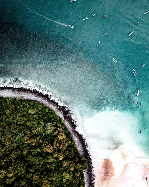 a bird's eye view of a body of water, pexels contest winner, thumbnail, beach trees in the background, ocean sprites, surfing