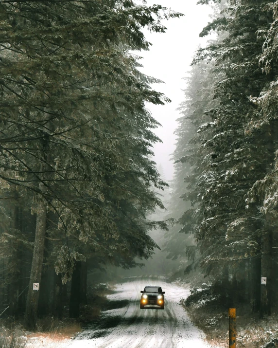 a truck driving down a snow covered road, unsplash contest winner, romanticism, in a redwood forest, ((forest))