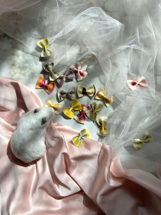 a white stuffed animal sitting on top of a pink cloth, ornamental bow, tiny rats, in style of joel meyerowitz, multi - coloured