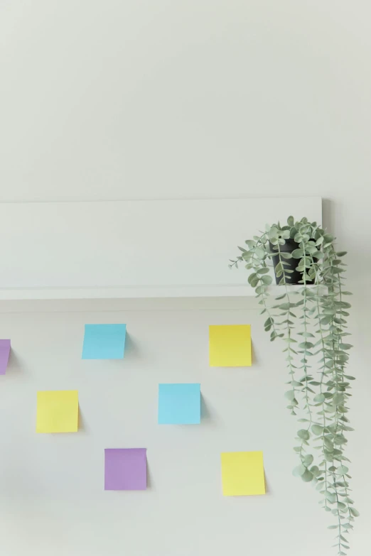 a desk with sticky notes and a potted plant, on a wall, smooth feature, headspace, multiple colors