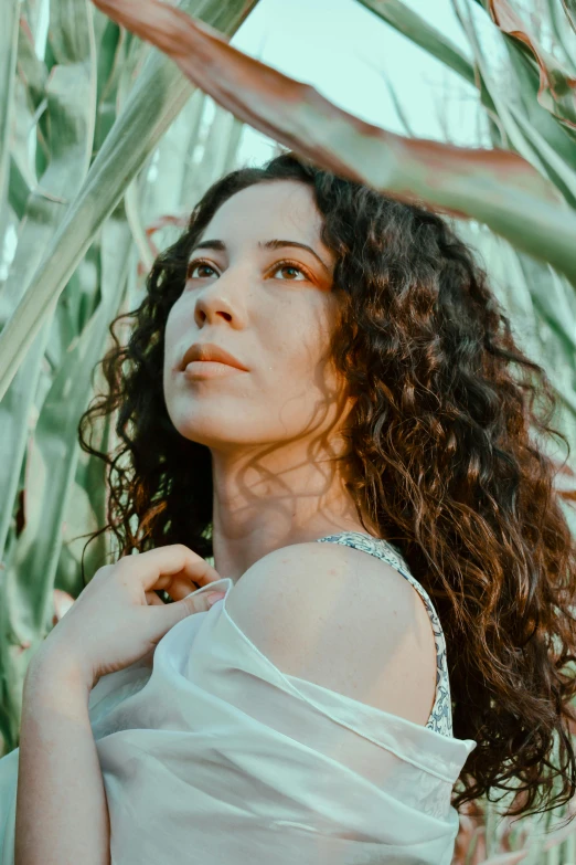 a woman standing in a field of tall grass, an album cover, inspired by Elsa Bleda, renaissance, curly dark hair, in a tree, looking to the side off camera, lush oasis