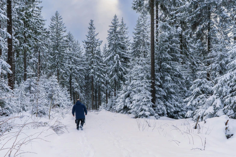 a person walking through a snow covered forest, vacation photo, fan favorite, black forest, instagram photo